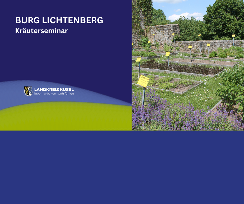 KV neues CI für Homepage - 35