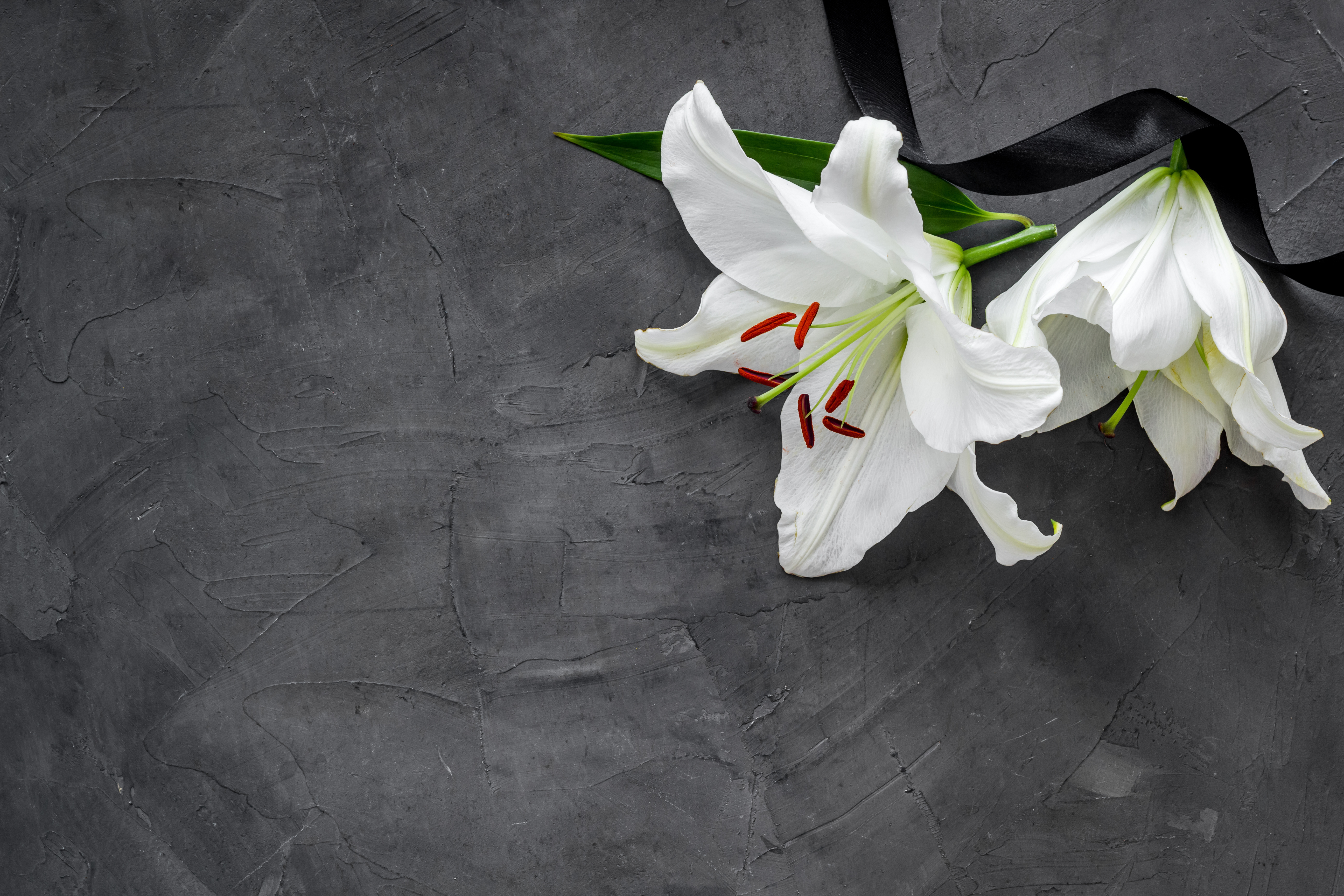 Lily funeral flower on dark stone. Condolence card with copy space