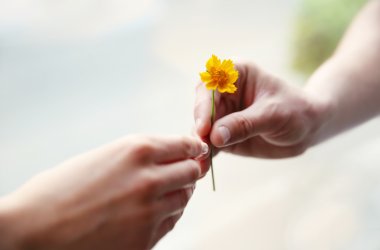 Flower and human hands on blurred background